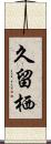 久留栖 Scroll