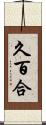久百合 Scroll