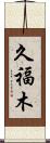 久福木 Scroll