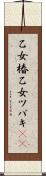 乙女椿 Scroll
