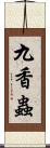 九香蟲 Scroll