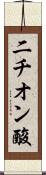 二チオン酸 Scroll