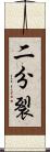 二分裂 Scroll