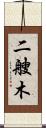 二艘木 Scroll