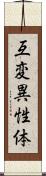 互変異性体 Scroll