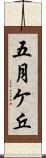 五月ケ丘 Scroll