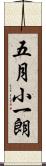 五月小一朗 Scroll