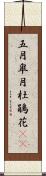 五月;皐月;杜鵑花(sK) Scroll