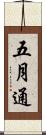 五月通 Scroll