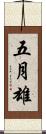五月雄 Scroll