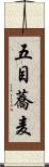 五目蕎麦 Scroll