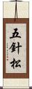 五針松 Scroll