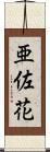 亜佐花 Scroll