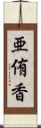 亜侑香 Scroll