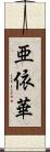 亜依華 Scroll