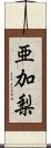 亜加梨 Scroll