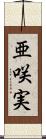 亜咲実 Scroll