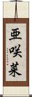 亜咲菜 Scroll