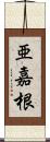 亜嘉根 Scroll