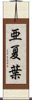亜夏葉 Scroll