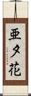 亜夕花 Scroll