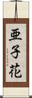 亜子花 Scroll