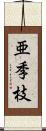 亜季枝 Scroll