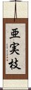 亜実枝 Scroll