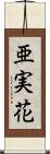 亜実花 Scroll