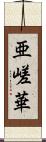 亜嵯華 Scroll