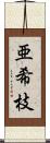亜希枝 Scroll