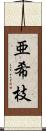 亜希枝 Scroll