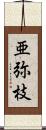 亜弥枝 Scroll