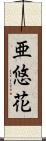 亜悠花 Scroll