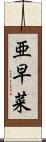 亜早菜 Scroll