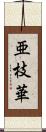 亜枝華 Scroll