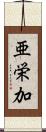 亜栄加 Scroll