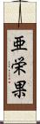 亜栄果 Scroll