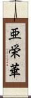 亜栄華 Scroll