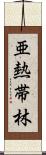 亜熱帯林 Scroll