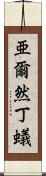亜爾然丁蟻 Scroll