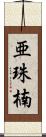 亜珠楠 Scroll