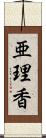 亜理香 Scroll