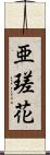 亜瑳花 Scroll