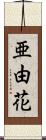 亜由花 Scroll