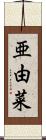 亜由菜 Scroll