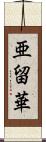 亜留華 Scroll