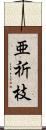 亜祈枝 Scroll
