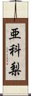 亜科梨 Scroll