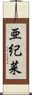 亜紀菜 Scroll